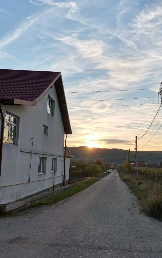 Ferienwohnung Casa Kotys Albestii Paminteni Exterior foto